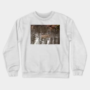 Female Wood Duck Crewneck Sweatshirt